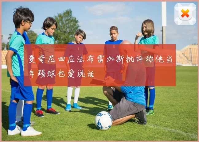 曼奇尼回应法布雷加斯批评称他当年踢球也爱说话