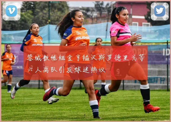 蓉城教练组金亨镒汉斯罗德里戈等六人离队引发球迷热议