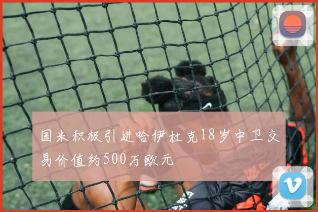 国米积极引进哈伊杜克18岁中卫交易价值约500万欧元